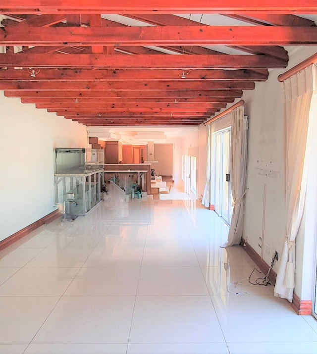 Open plan lounge.jpg